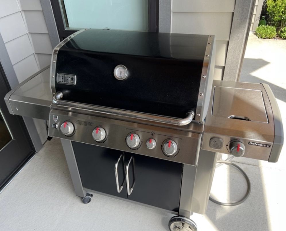 WEBER Natural Gas Grill