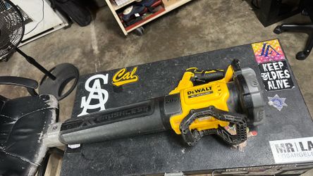 Dewalt blower