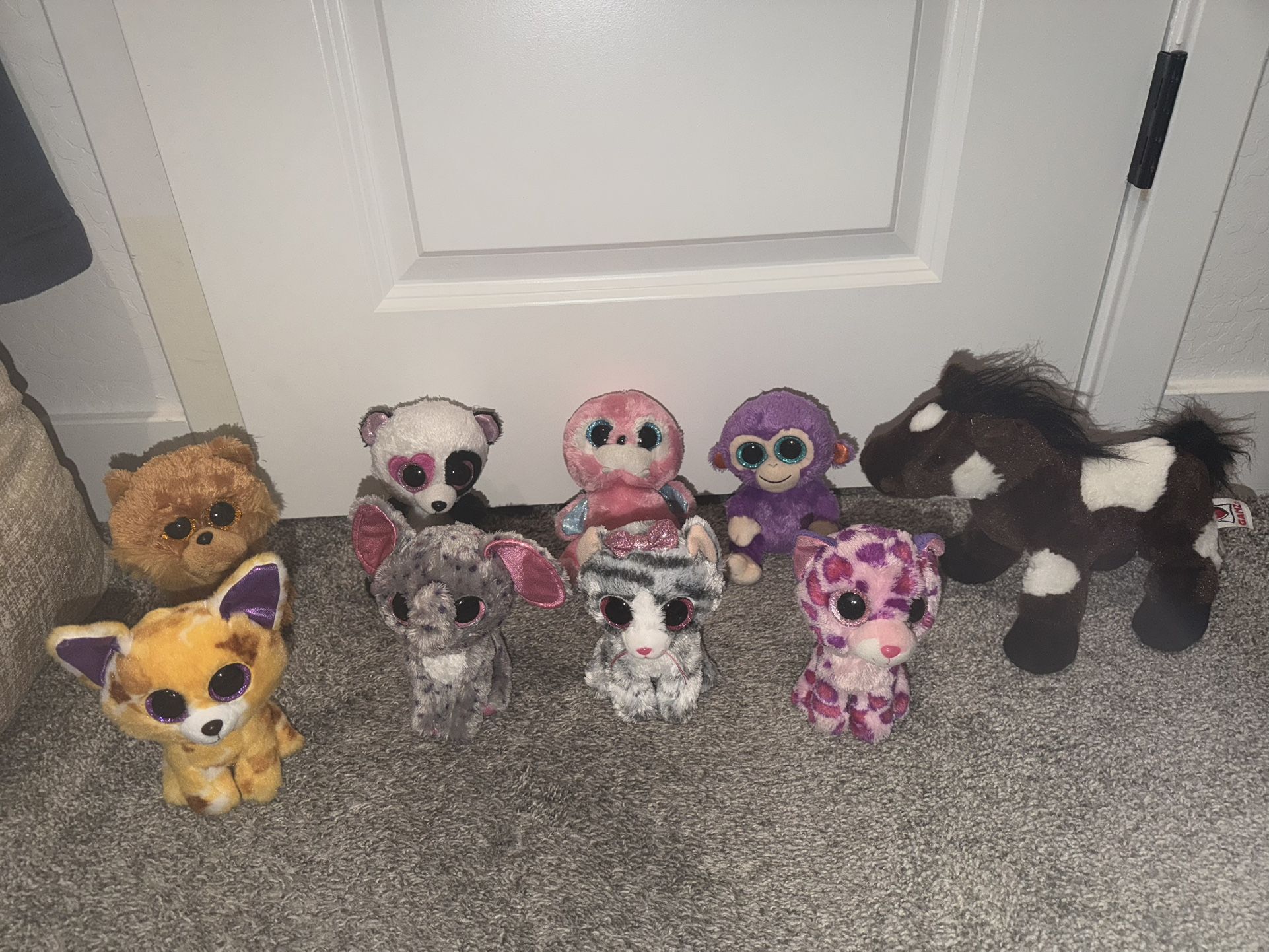 Beanie Boo Plush Collection 