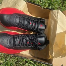 Jordan 12 Flu Games