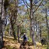 Dpowerracing