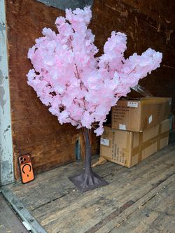3 ft cherry blossom trees