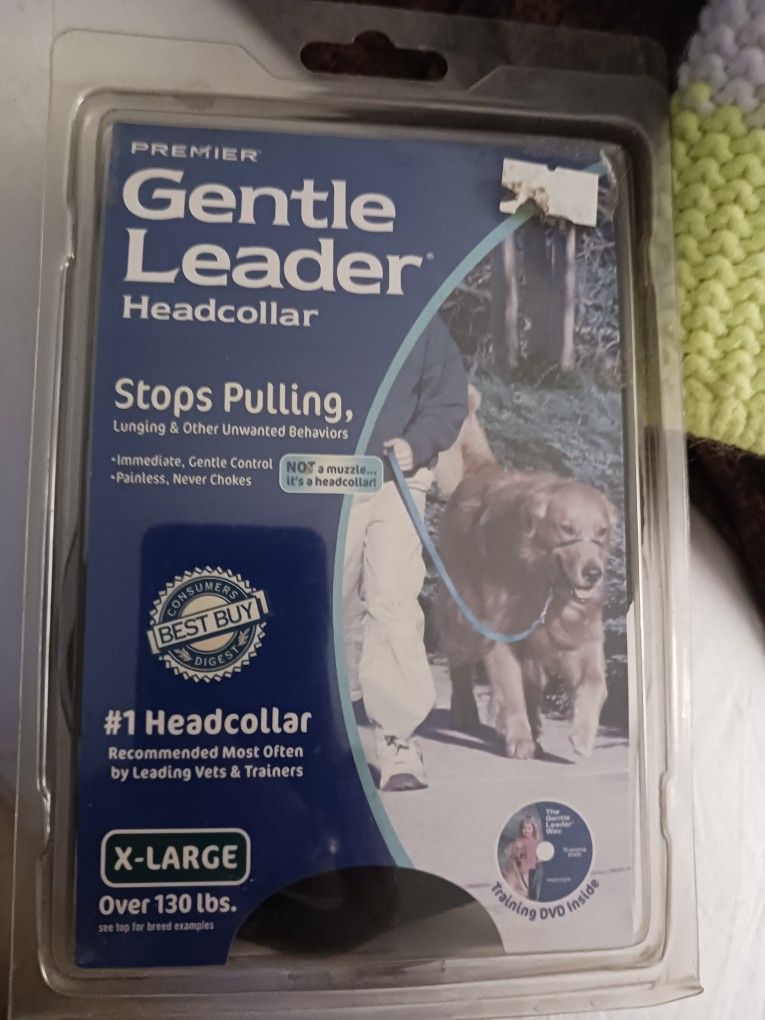 Brand New Sz Xl Gentle Leash 10 Firm Paid40 Look My Post Alot Item