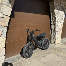 1000w Ridstar /ebike 