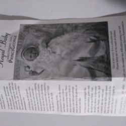 Prince George Royal Baby Christening Doll