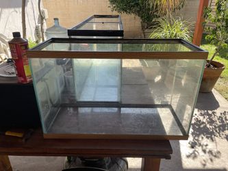 Fish Tank Terrarium Aquarium