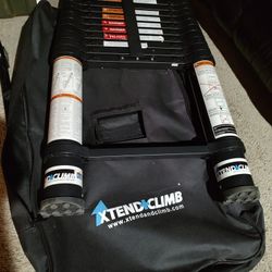 Telescoping Ladder 