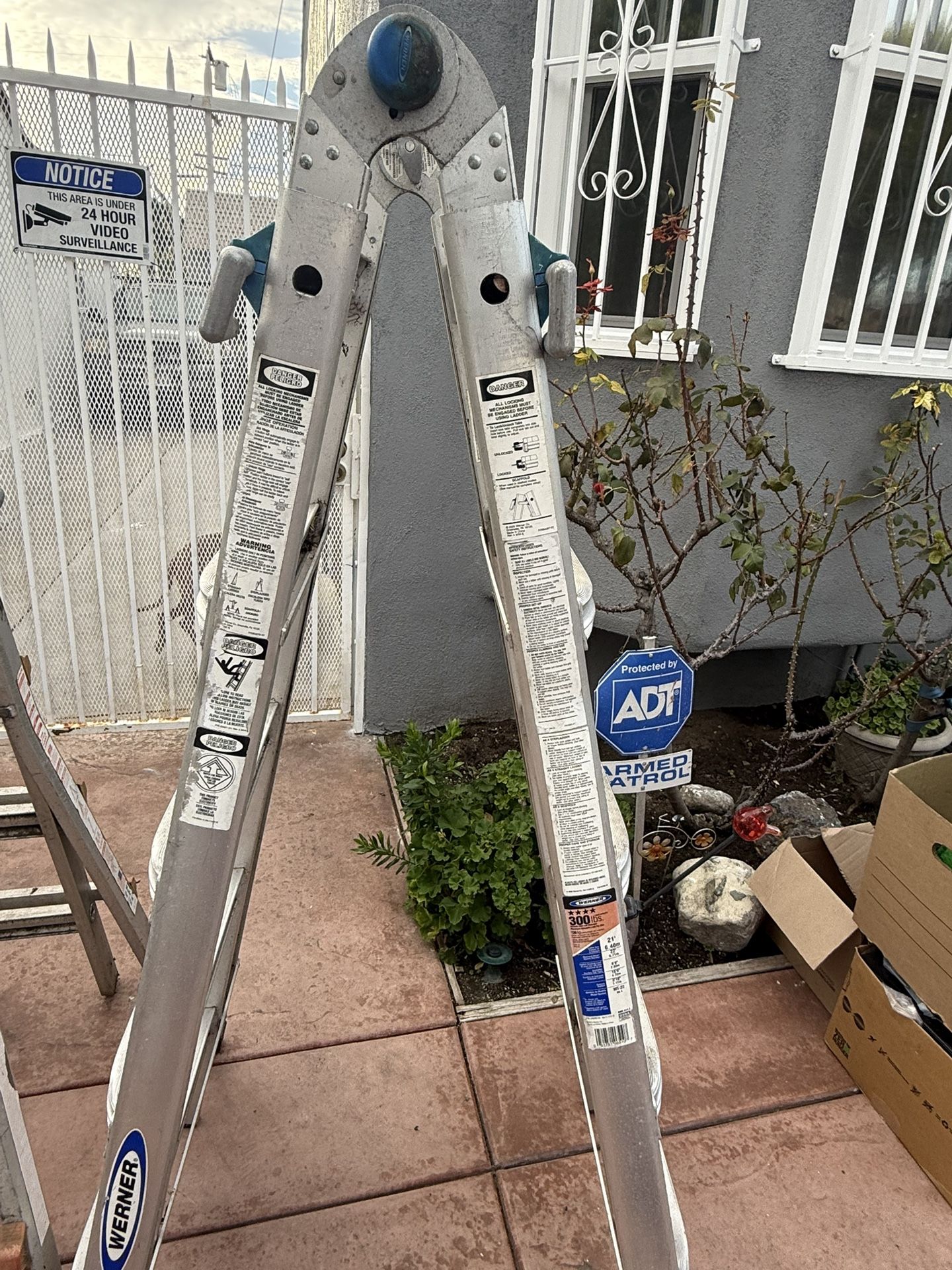 Werner Ladder Multi Position