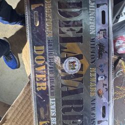 Delaware Souvenir License Plate
