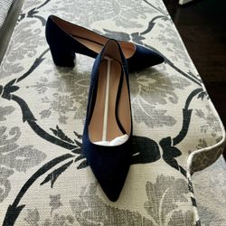 Real Suede Navy Pumps