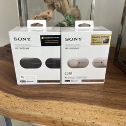 Sony WF1000XM3 Noise Canceling True Wireless Bluetooth Earbuds - Silver