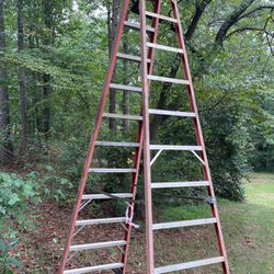 11 Step  Fiberglass Ladder 