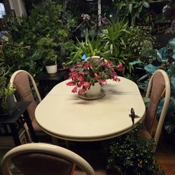 Beautiful Dining Set 