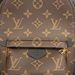 Louis Vuitton Palm Springs Mini Back Pack