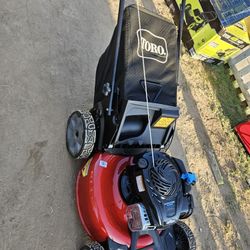 21 in. Recycler Briggs and Stratton 140cc Self-Propelled Gas RWD Walk Behind Lawn Mower with Bagger