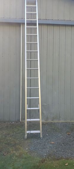 Ladder