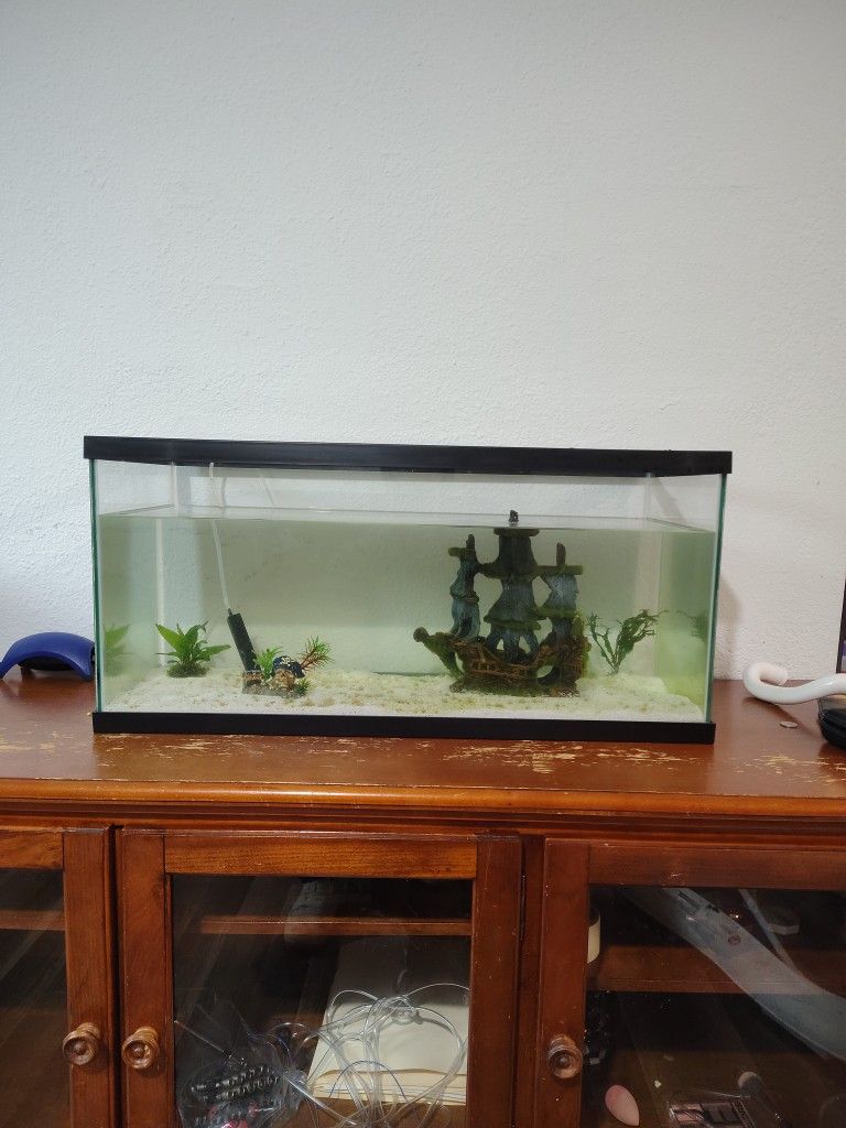 fish tank