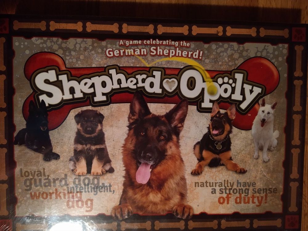  New Shepherd Oply Game