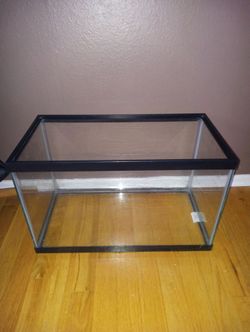 Medium Glass tank
