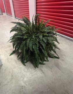 Artificial Plant