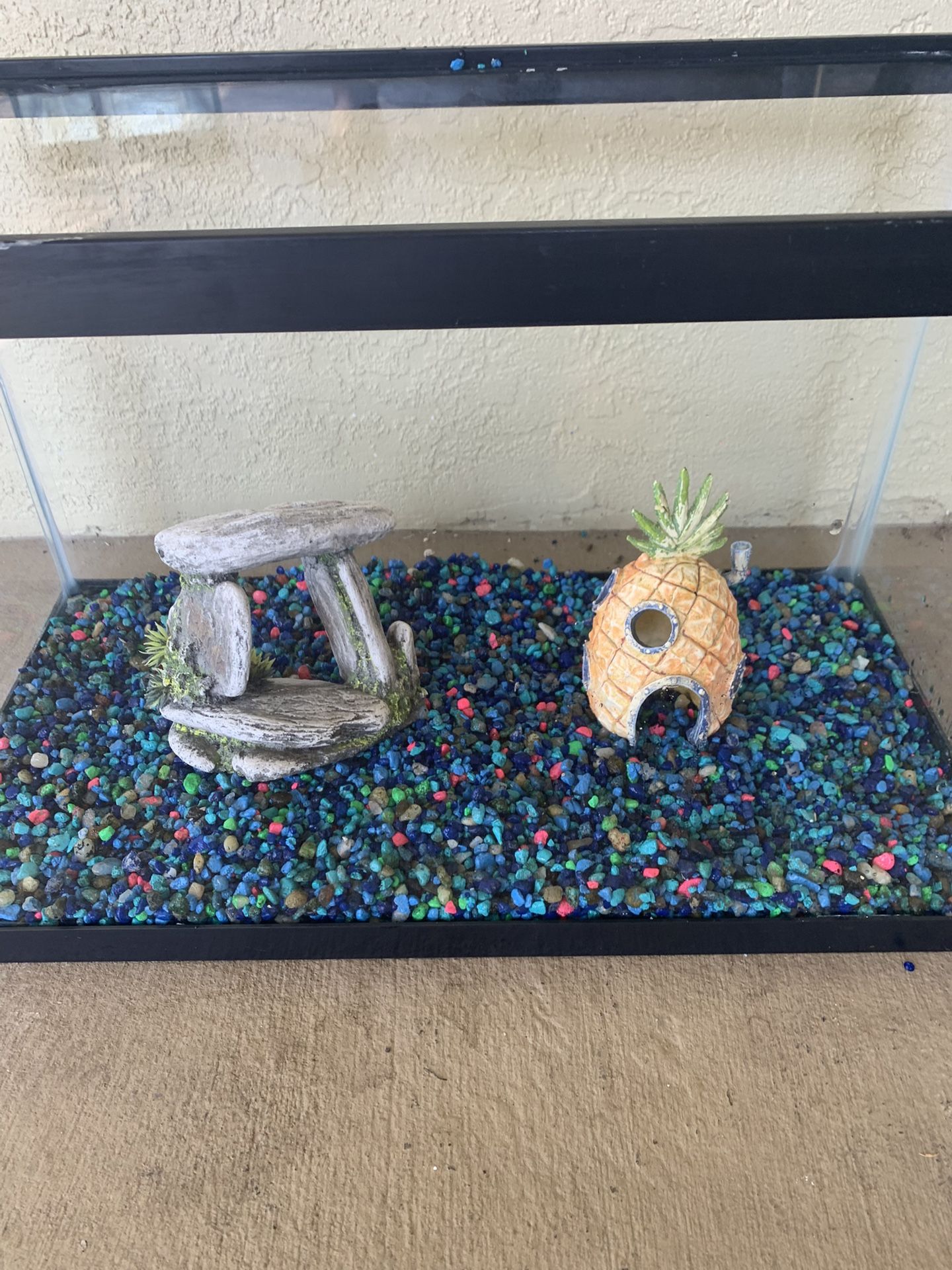10 Gallon Fish Tank