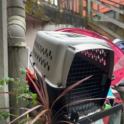 Pet Carrier 