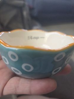 Pioneer Woman Measuring Cups
