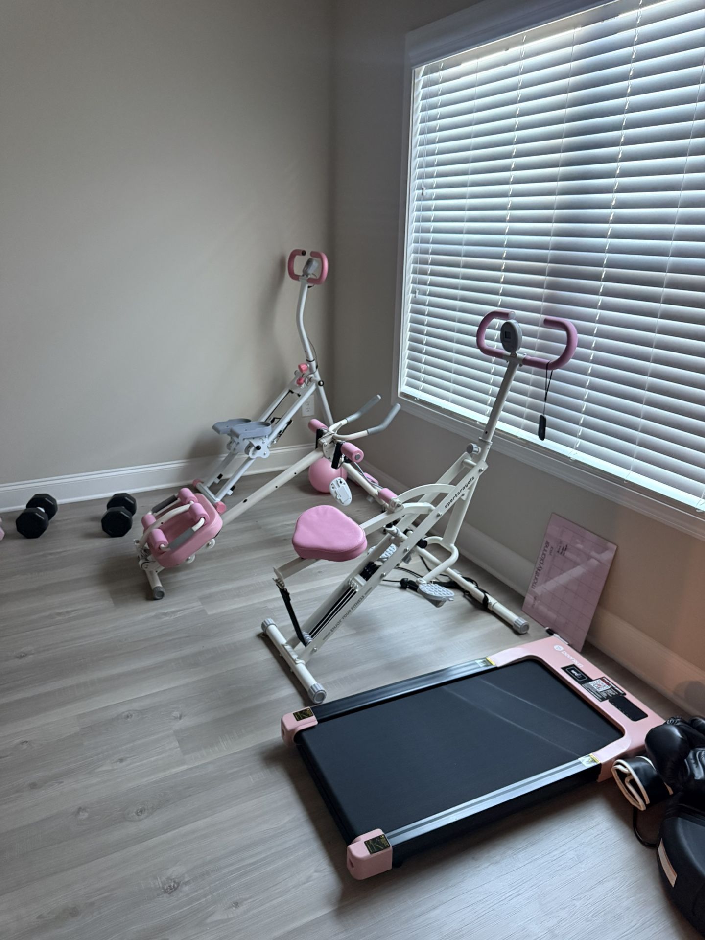Pink Exercise Room / equipment 