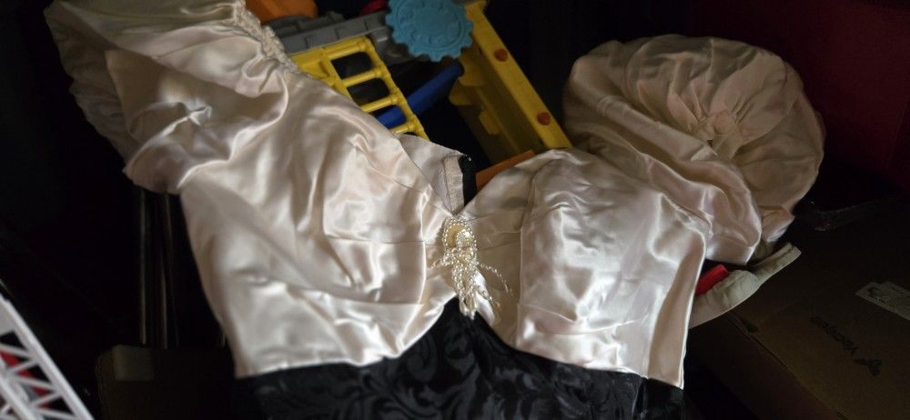 Halloween Costume. Gown