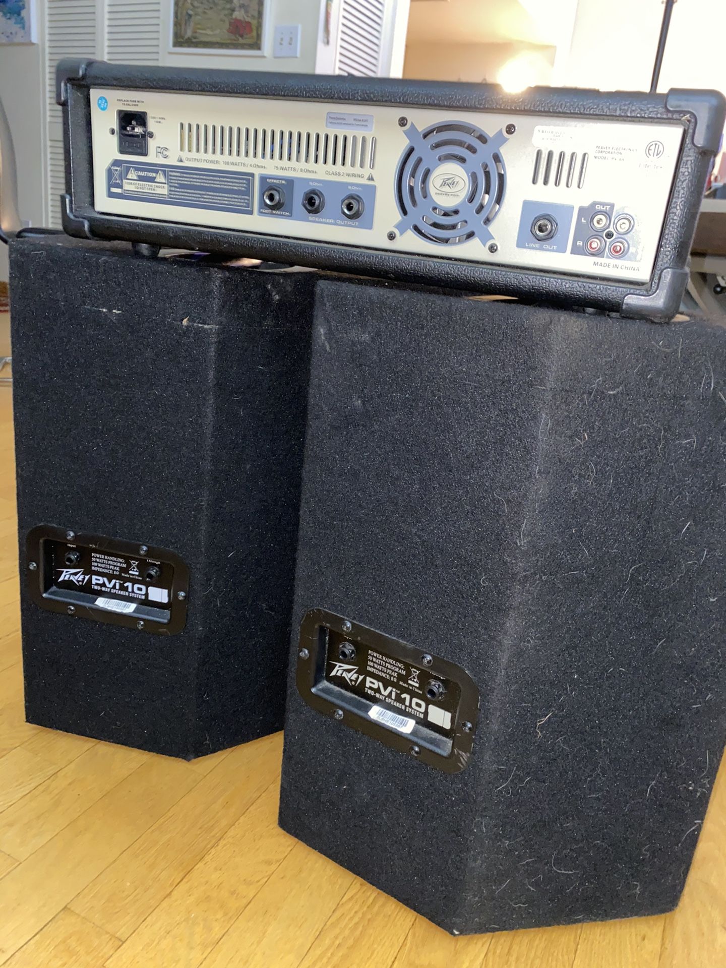 Peavey PVi10 2 way speaker system