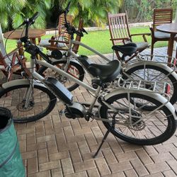 Trek Go E-Bike His And Hers Townie 