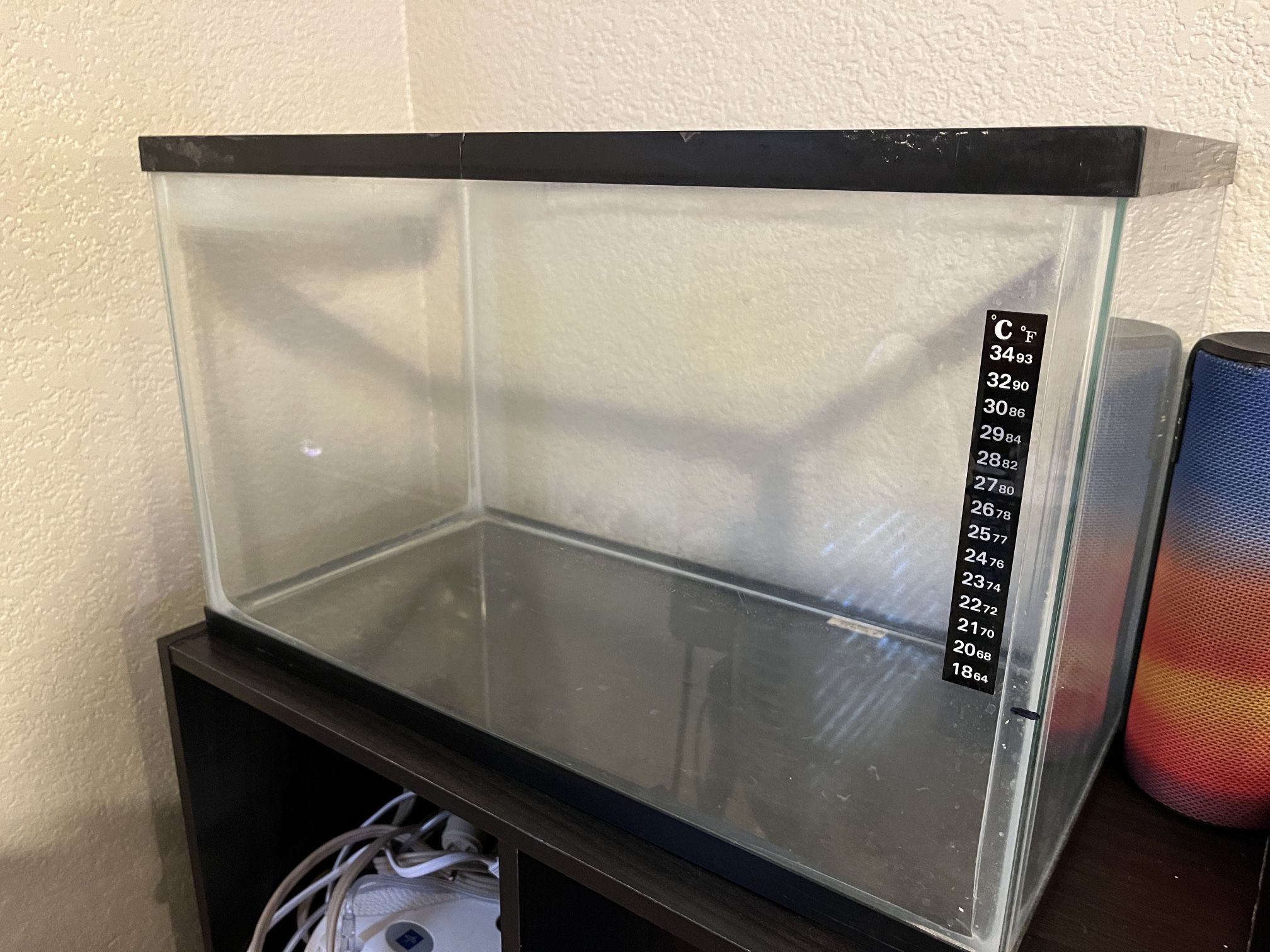 10 gallon aquarium