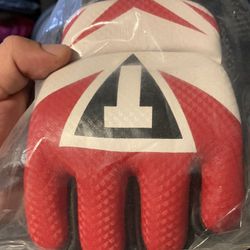 MMA Gloves   