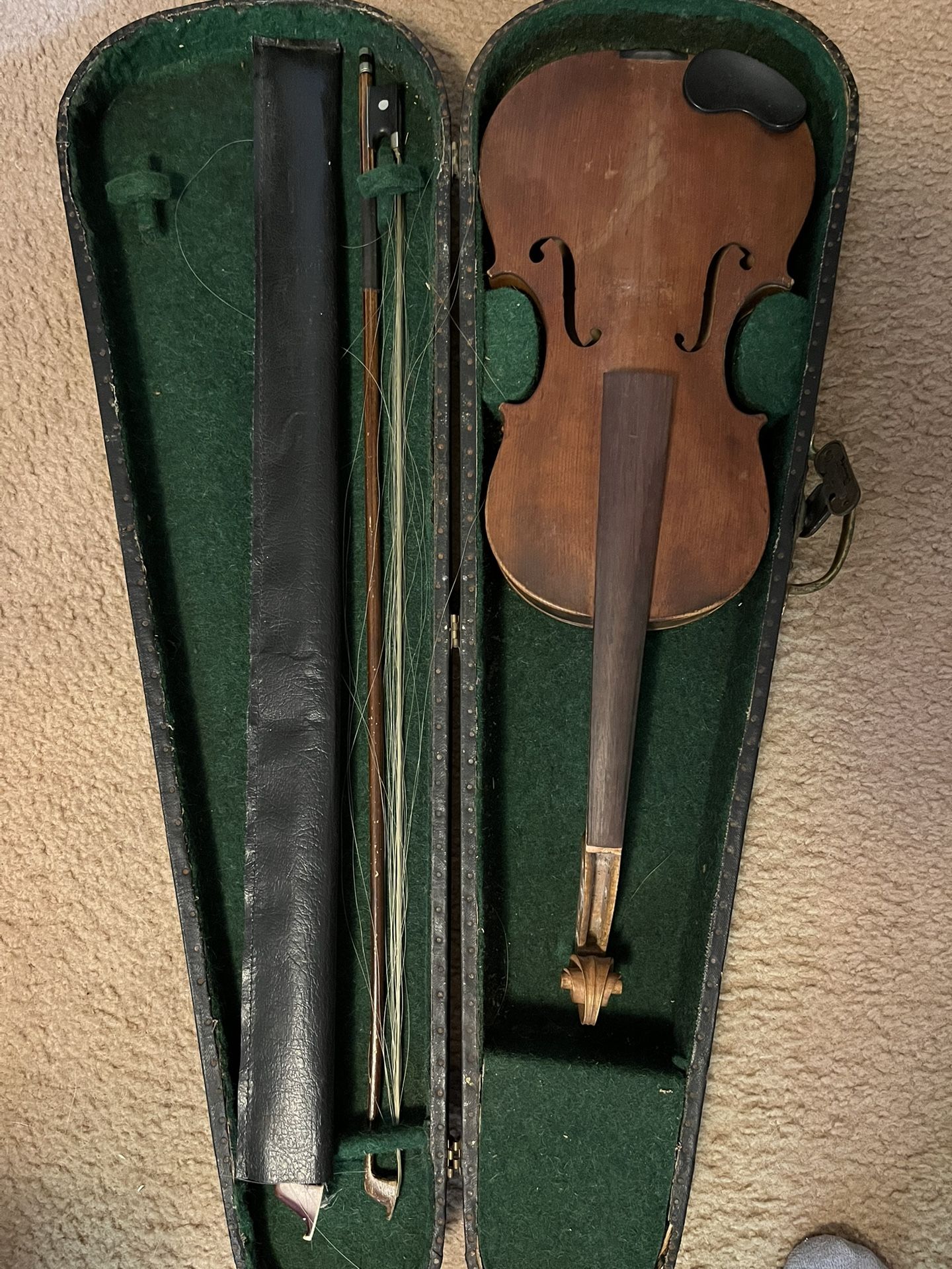 Violin