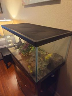 Gecko Habitat
