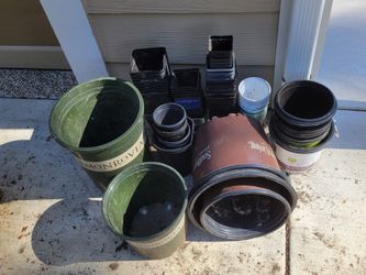Plastic plant pots FREE