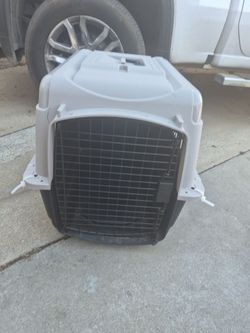 Pet kennel M dogs