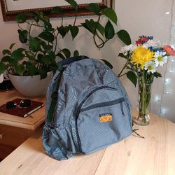 Quark Backpack 