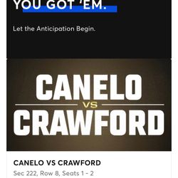 Canelo Vs Crawford In LAS VEGAS! 
