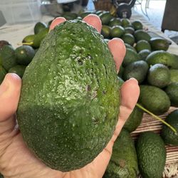 Organic Avocados $1.50 each