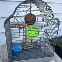 Bird Case