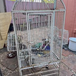 Bird Cage