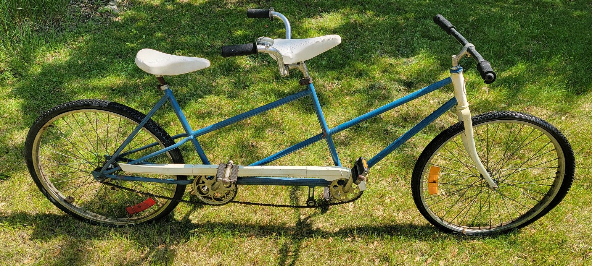 Schwinn Tandem Bike