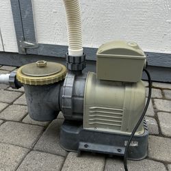 Intex Pool Filter