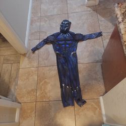 Black Panther Costume 