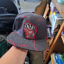 Wisconcin Badgers Hat 
