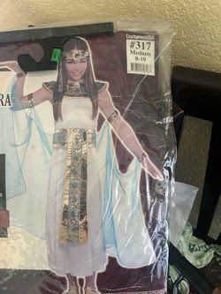 Halloween costume $13