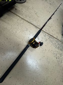 ‼️New Penn squall 40 LD  salt water fishing reel and rod combo.