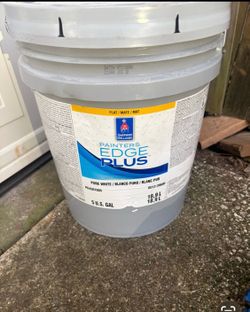 Painters Edge Plus Pure White Paint