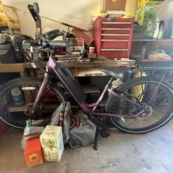 E-bike Pace 350